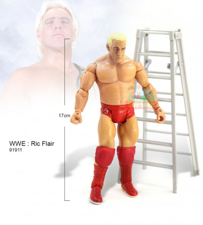 WWE : Ric Flair - 91911